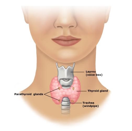 noduli tiroidieni